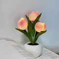 2pcs Tulip Night Light - Gifts for Her Artificial Flower LED Night Light Simulated Bonsai Table Lamp with Vase Valentine'S Day Birthday Gift for Home Living Room Desktop Decor